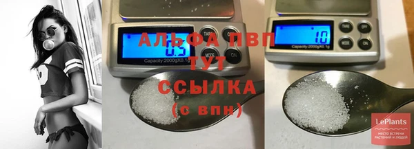 стафф Армянск