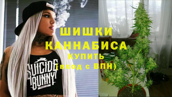 стафф Армянск