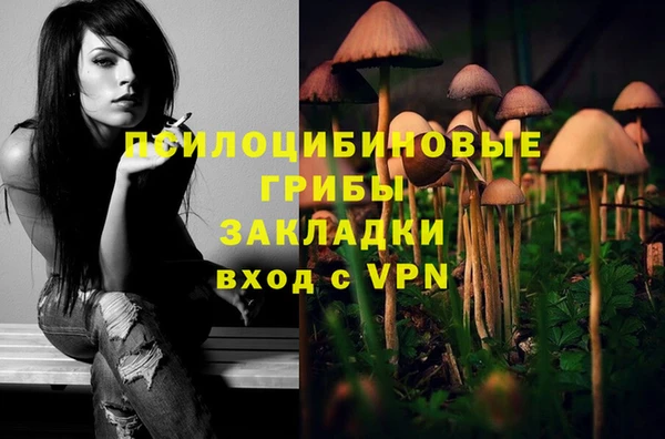 ГАЛЛЮЦИНОГЕННЫЕ ГРИБЫ Аркадак