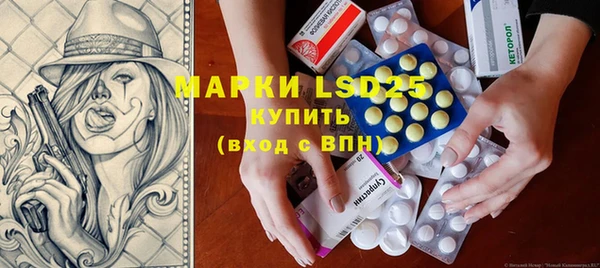 ГАЛЛЮЦИНОГЕННЫЕ ГРИБЫ Аркадак