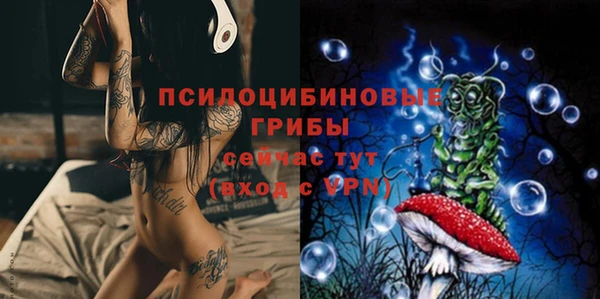 ГАЛЛЮЦИНОГЕННЫЕ ГРИБЫ Аркадак