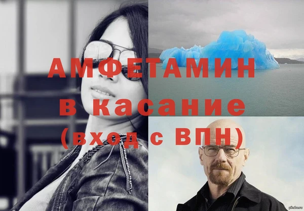 ГАЛЛЮЦИНОГЕННЫЕ ГРИБЫ Аркадак