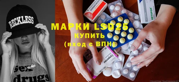 ГАЛЛЮЦИНОГЕННЫЕ ГРИБЫ Аркадак
